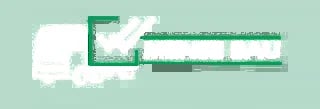 White elephant with green checkmark and horizontal lines on mint background